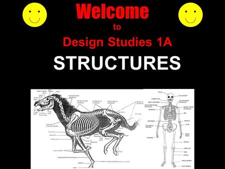 Welcome to Design Studies 1A STRUCTURES. who am I ? Mike Rosenman where am I ? Room 279 contact ? Ph: 9351 5933 Fax: 9351 3031