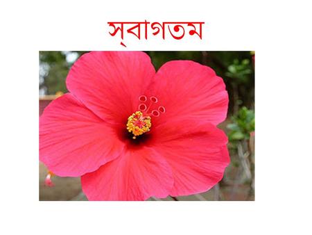 স্বাগতম.