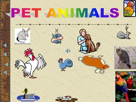 PET ANIMALS.