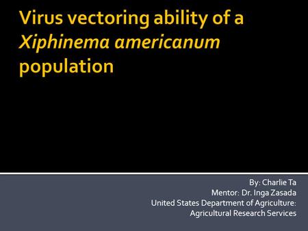 By: Charlie Ta Mentor: Dr. Inga Zasada United States Department of Agriculture: Agricultural Research Services.