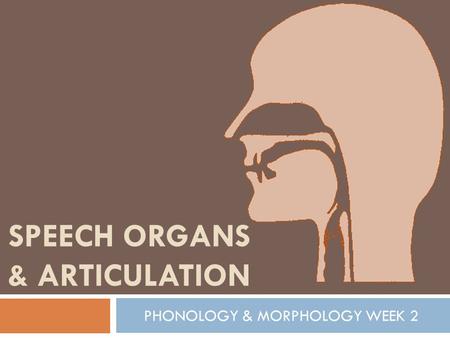 SPEECH ORGANS & ARTICULATION