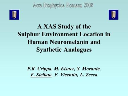 A XAS Study of the Sulphur Environment Location in Human Neuromelanin and Synthetic Analogues P.R. Crippa, M. Eisner, S. Morante, F. Stellato, F. Vicentin,