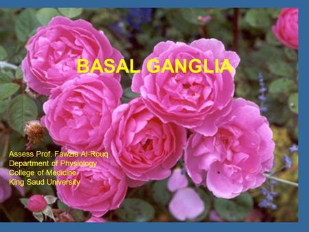 The Autonomic Nervous System Assess Prof. Fawzia Al-Rouq Department of Physiology College of Medicine King Saud University BASAL GANGLIA.