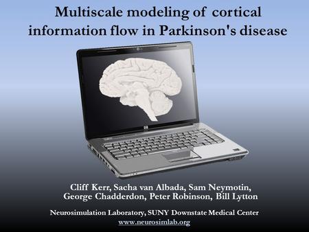 Multiscale modeling of cortical information flow in Parkinson's disease Cliff Kerr, Sacha van Albada, Sam Neymotin, George Chadderdon, Peter Robinson,