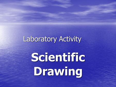 Laboratory Activity Scientific Drawing. This is not an art class… But you can learn to make a scientific drawing by learning two things. But you can learn.