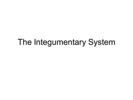 The Integumentary System