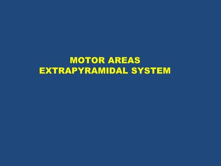 MOTOR AREAS EXTRAPYRAMIDAL SYSTEM