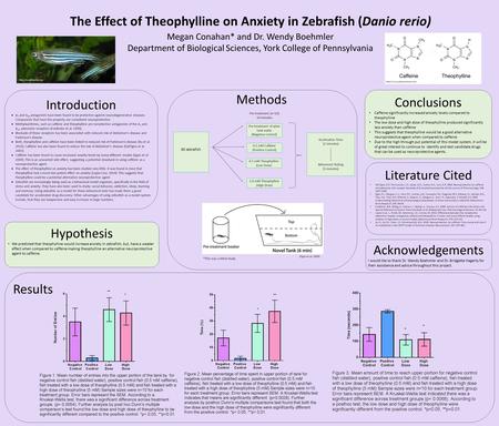 The Effect of Theophylline on Anxiety in Zebrafish (Danio rerio) Megan Conahan* and Dr. Wendy Boehmler Department of Biological Sciences, York College.