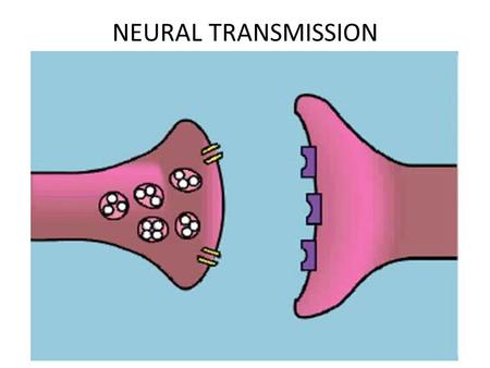 NEURAL TRANSMISSION. NEUROTRANSMITTERS Dopamine Dopamine Serotonin Serotonin Adrenaline (Epinephrine) Noradrenaline (Norepinephrine) Acetylcholine.