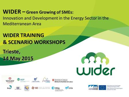 WIDER – Green Growing of SMEs: Innovation and Development in the Energy Sector in the Mediterranean Area WIDER TRAINING & SCENARIO WORKSHOPSTrieste, 14.