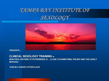 TAMPA BAY INSTITUTE OF SEXOLOGY PRESENTS…. CLINICAL SEXOLOGY TRAINING IN BEAUTIFUL HISTORIC ST.PETERSBURG, FL …CLOSE TO DOWNTOWN, THE BAY AND THE LOVELY.