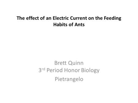 The effect of an Electric Current on the Feeding Habits of Ants Brett Quinn 3 rd Period Honor Biology Pietrangelo.