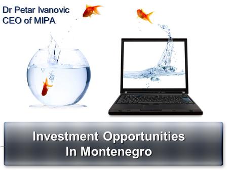 Dr Petar Ivanovic CEO of MIPA Investment Opportunities In Montenegro Investment Opportunities In Montenegro.