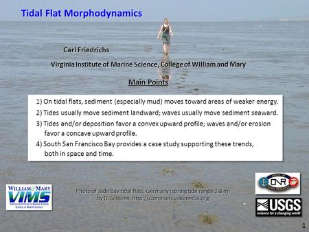 Carl Friedrichs 1) On tidal flats, sediment (especially mud) moves toward areas of weaker energy. 2) Tides usually move sediment landward; waves usually.