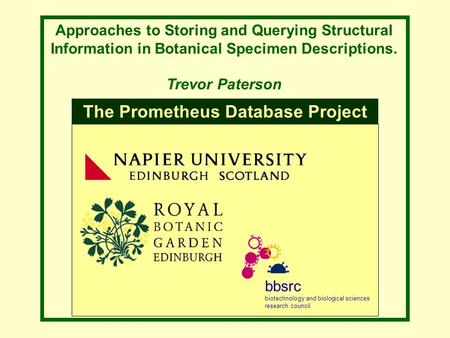 Approaches to Storing and Querying Structural Information in Botanical Specimen Descriptions. Trevor Paterson bbsrc biotechnology and biological sciences.