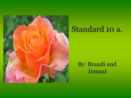 Standard 10 a. By: Brandi and Jamaal. All About Plants Plants are multicellular eukaryotes that have cell walls made of cellulose. Plants are in the Kingdom.