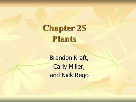 Chapter 25 Plants Brandon Kraft, Carly Miller, and Nick Rego.