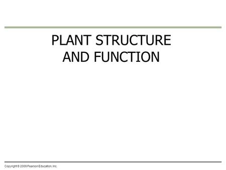 PLANT STRUCTURE AND FUNCTION