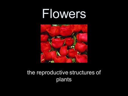 Flowers the reproductive structures of plants Can you remember the Seven Processes of Life? MRSNERGMRSNERG.