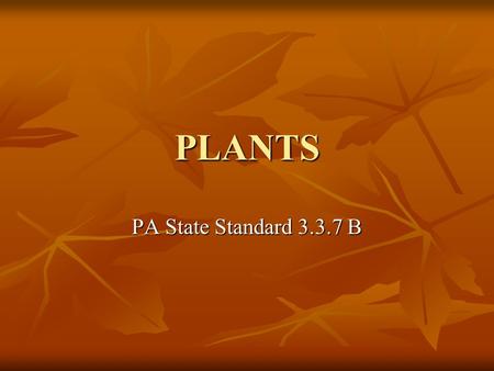 PLANTS PA State Standard 3.3.7 B. What are the basic types of plants? Nonvascular: Algae Algae Chlorophyta Chlorophyta Phaeophyta Phaeophyta Rhodophyta.