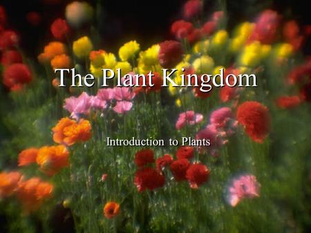 The Plant Kingdom Introduction to Plants. The Plant Kingdom Organisms are _______________, have ___________ & ___________. They ___________ their own.