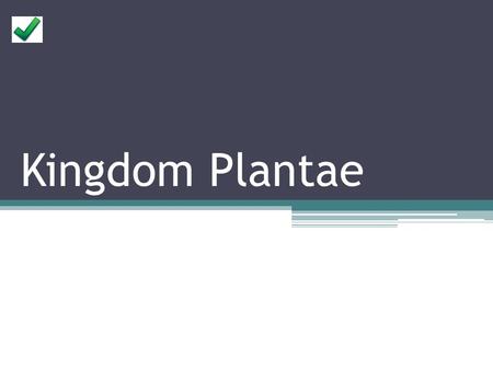 Kingdom Plantae. Some Basics... First appeared 500 million years ago Multi-cellular Eukaryotic Autotrophs – make their own food  because they are photosynthetic.