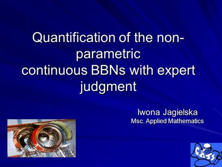 Quantification of the non- parametric continuous BBNs with expert judgment Iwona Jagielska Msc. Applied Mathematics.