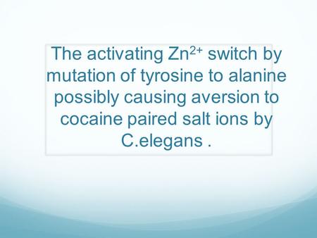 The activating Zn 2+ switch by mutation of tyrosine to alanine possibly causing aversion to cocaine paired salt ions by C.elegans.