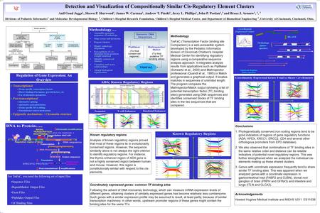 Regulation of Gene Expression: An Overview  Transcriptional  Tissue-specific transcription factors  Direct binding of hormones, growth factors, etc.