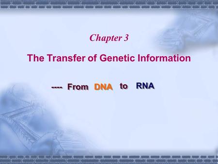 The Transfer of Genetic Information