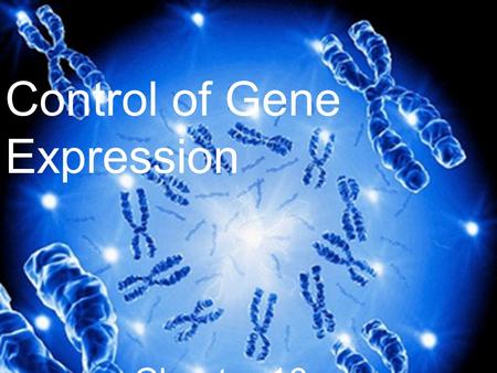 Control of Gene Expression