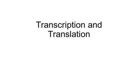 Transcription and Translation