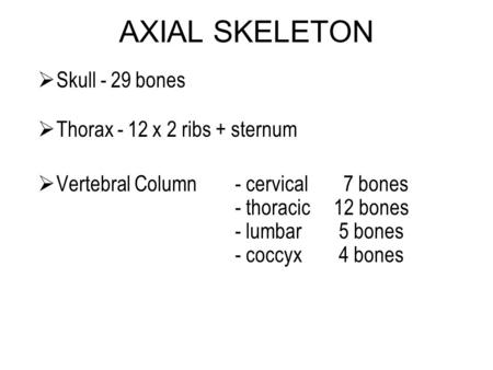 AXIAL SKELETON  Skull - 29 bones  Thorax - 12 x 2 ribs + sternum  Vertebral Column - cervical 7 bones - thoracic 12 bones - lumbar 5 bones - coccyx.