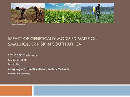 IMPACT OF GENETICALLY MODIFIED MAIZE ON SMALLHOLDER RISK IN SOUTH AFRICA 16 th ICABR Conference June 25-27, 2012 Ravello, Italy Greg Regier*, Timothy Dalton,