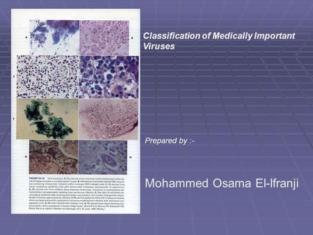 Prepared by :- Mohammed Osama El-Ifranji Classification of Medically Important Viruses.