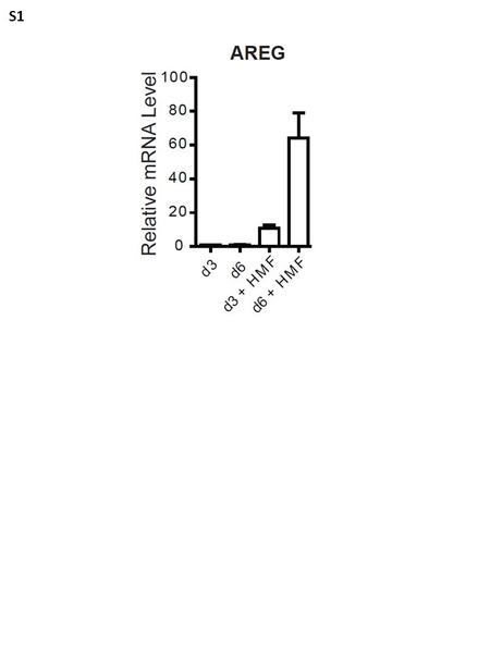 S1. MCF7 M (high density) Day 3 Day 5 S2 AB S3 S4 NetworkspValueGenes from Active Data Chemotaxis7.991E-11IL-1 beta, CCR2, GRO-3, Lck, CCL13, Galpha(q)-specific.