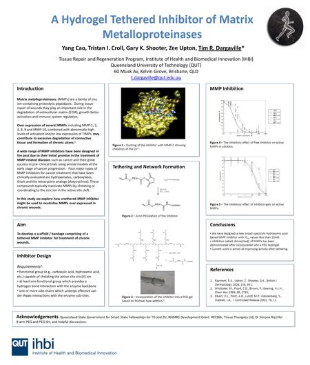 A Hydrogel Tethered Inhibitor of Matrix Metalloproteinases Yang Cao, Tristan I. Croll, Gary K. Shooter, Zee Upton, Tim R. Dargaville* Tissue Repair and.