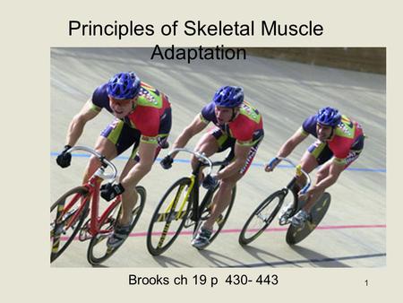 1 Principles of Skeletal Muscle Adaptation Brooks ch 19 p 430- 443.