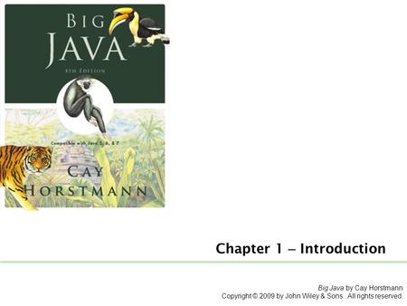 Big Java by Cay Horstmann Copyright © 2009 by John Wiley & Sons. All rights reserved. Chapter 1 – Introduction.