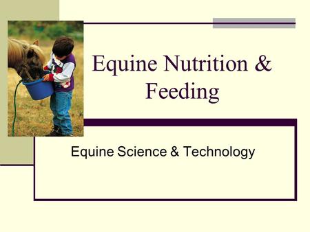 Equine Nutrition & Feeding Equine Science & Technology.