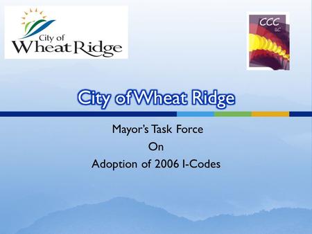 Mayor’s Task Force On Adoption of 2006 I-Codes.  The following issues were discussed by Mayor DiTullio and Ken Johnstone on November 20, 2009 with Steve.