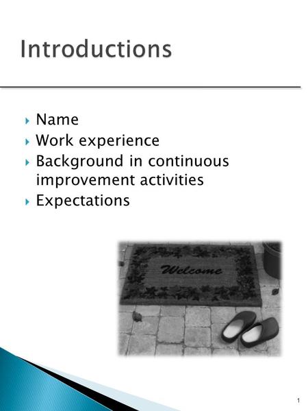  Name  Work experience  Background in continuous improvement activities  Expectations 1.