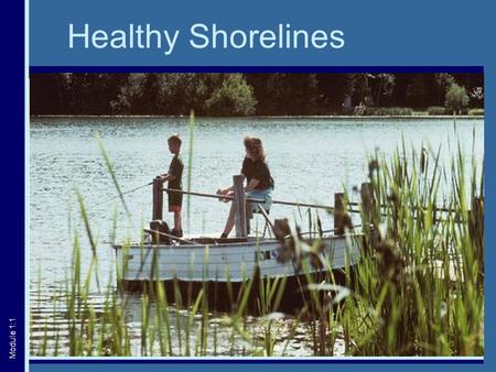 Healthy Shorelines Module 1:1. The Shoreline Area Littoral Riparian Upland Module 1:2.