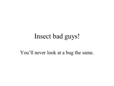 Insect bad guys! You’ll never look at a bug the same.