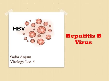 Hepatitis B Virus Sadia Anjum Virology Lec 6. Hepatitis B Virus Hepatitis B is a liver disease caused by the hepatitis B virus (HBV). It ranges in severity.