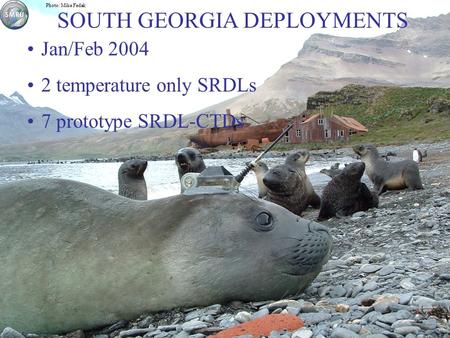 Photo: Mike Fedak Jan/Feb 2004 2 temperature only SRDLs 7 prototype SRDL-CTDs SOUTH GEORGIA DEPLOYMENTS.