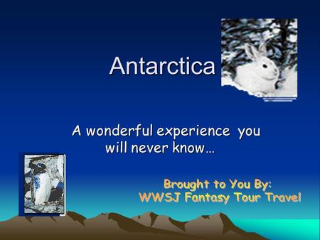 Antarctica A wonderful experience you will never know…