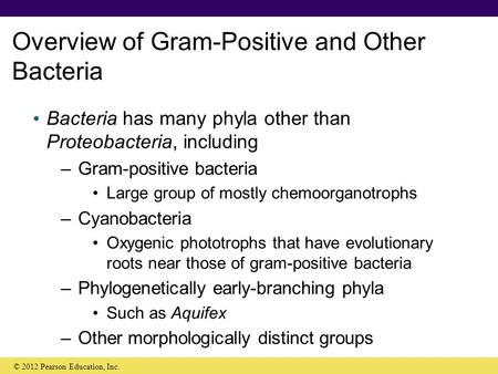 Overview of Gram-Positive and Other Bacteria