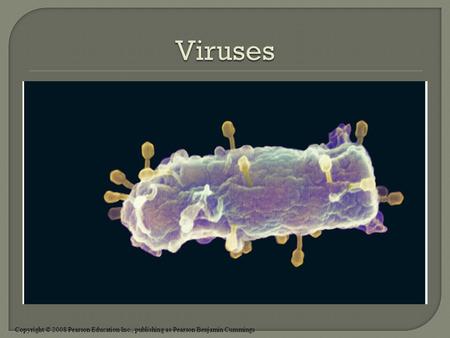 Copyright © 2008 Pearson Education Inc., publishing as Pearson Benjamin Cummings.
