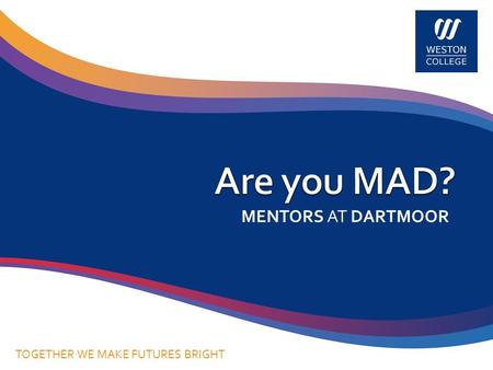 MENTORS AT DARTMOOR TOGETHER WE MAKE FUTURES BRIGHT.